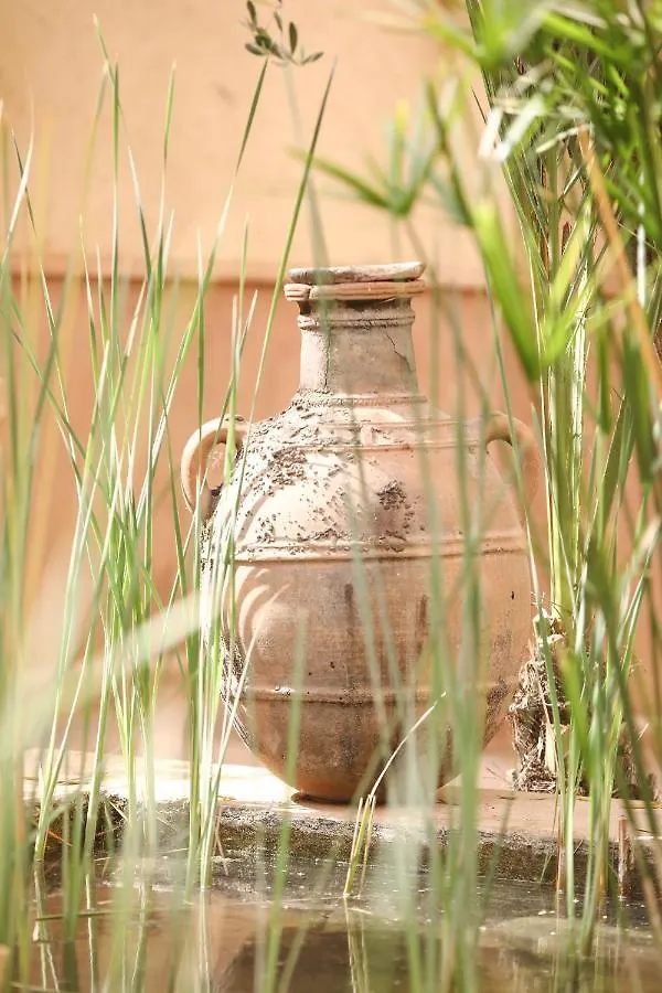 Villa 55 Marrakech Marrakesh Marokko