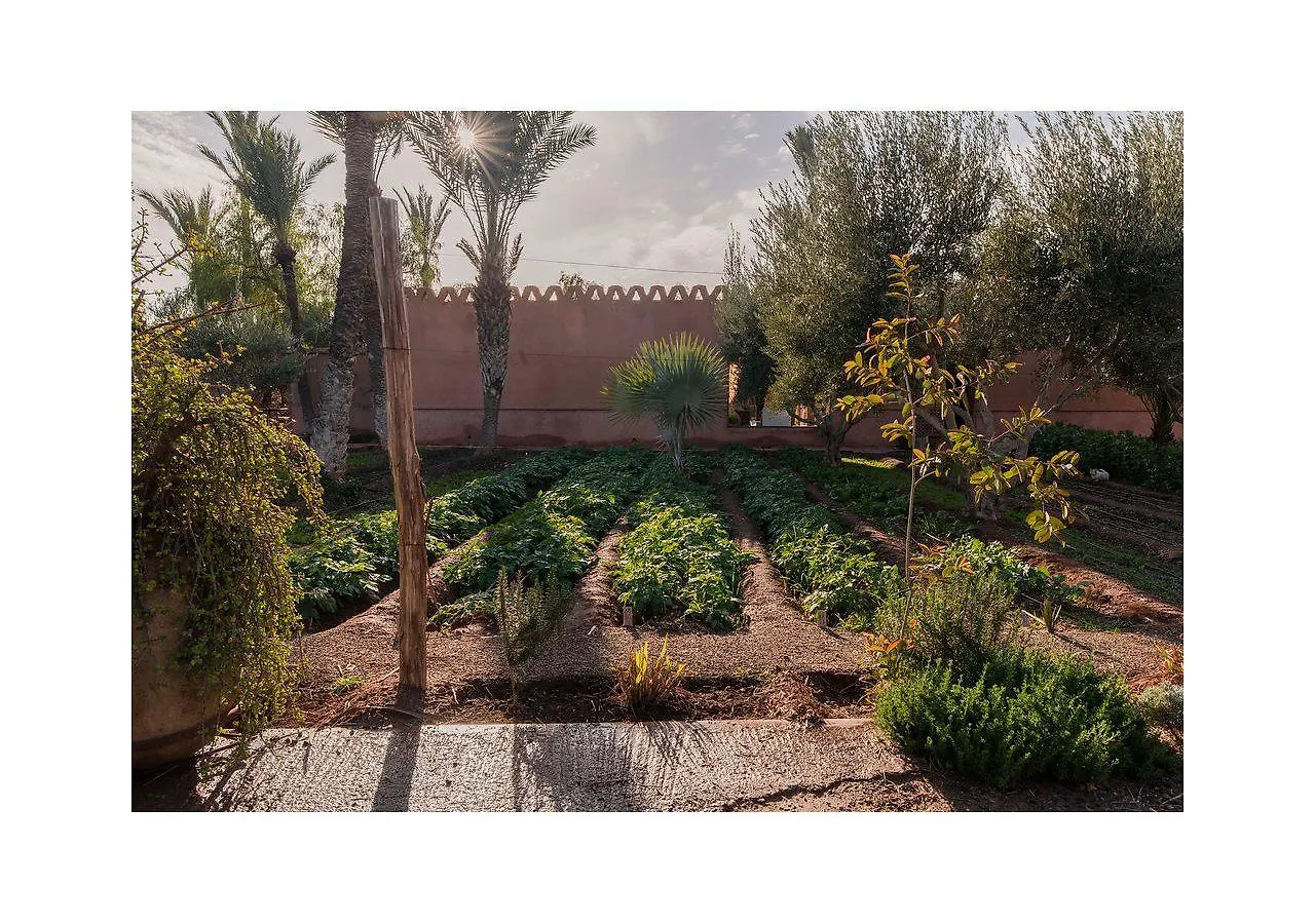 Villa 55 Marrakech Marrakesh 3*,
